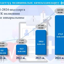 Кыргызстанда 2024-жылы 160 миңден ашуун ММК полиси 474,9 млн сом суммасына сатылган