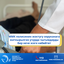 ММК полисинин жоктугу ооруканага жаткырылган учурда чыгымдарды бир нече эсеге көбөйтөт