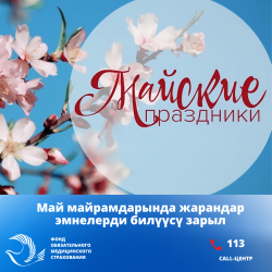 Май майрамдарында медициналык жардам көрсөтүү тартиби жөнүндө: жарандар эмнелерди билүүсү зарыл?