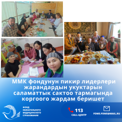  ММК фондунун пикир лидерлери жарандардын укуктарын саламаттык сактоо тармагында коргоого жардам беришет